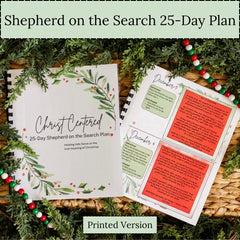 Shepherd on the Search 25-day Plan